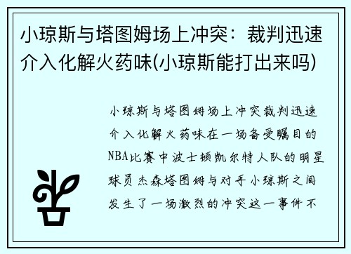 小琼斯与塔图姆场上冲突：裁判迅速介入化解火药味(小琼斯能打出来吗)