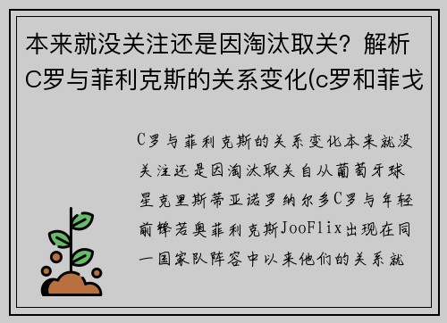 本来就没关注还是因淘汰取关？解析C罗与菲利克斯的关系变化(c罗和菲戈同场合作比赛)