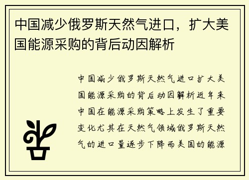 中国减少俄罗斯天然气进口，扩大美国能源采购的背后动因解析